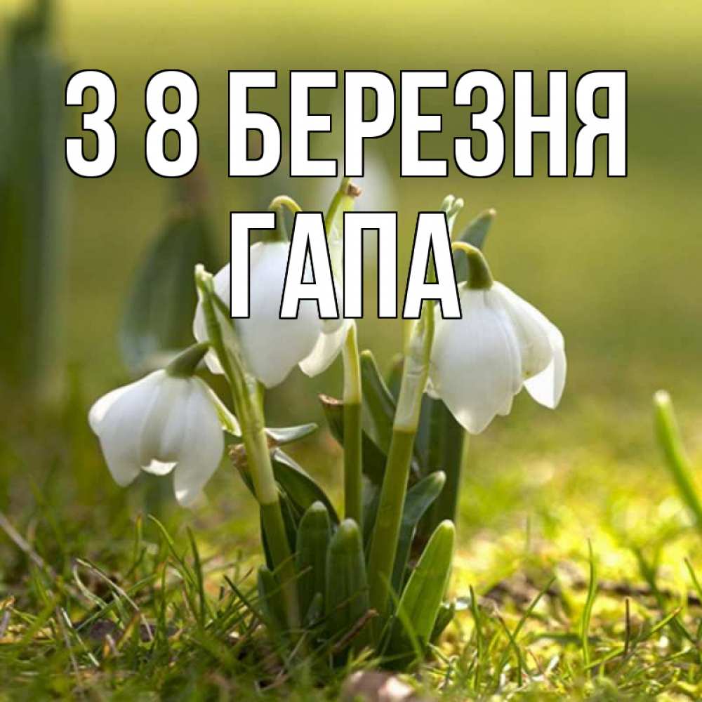 Открытка на каждый день з підписом, Гапа З 8 БЕРЕЗНЯ ранние цветы 2 Прикольна листівка з побажанням онлайн скачати безкоштовно 
