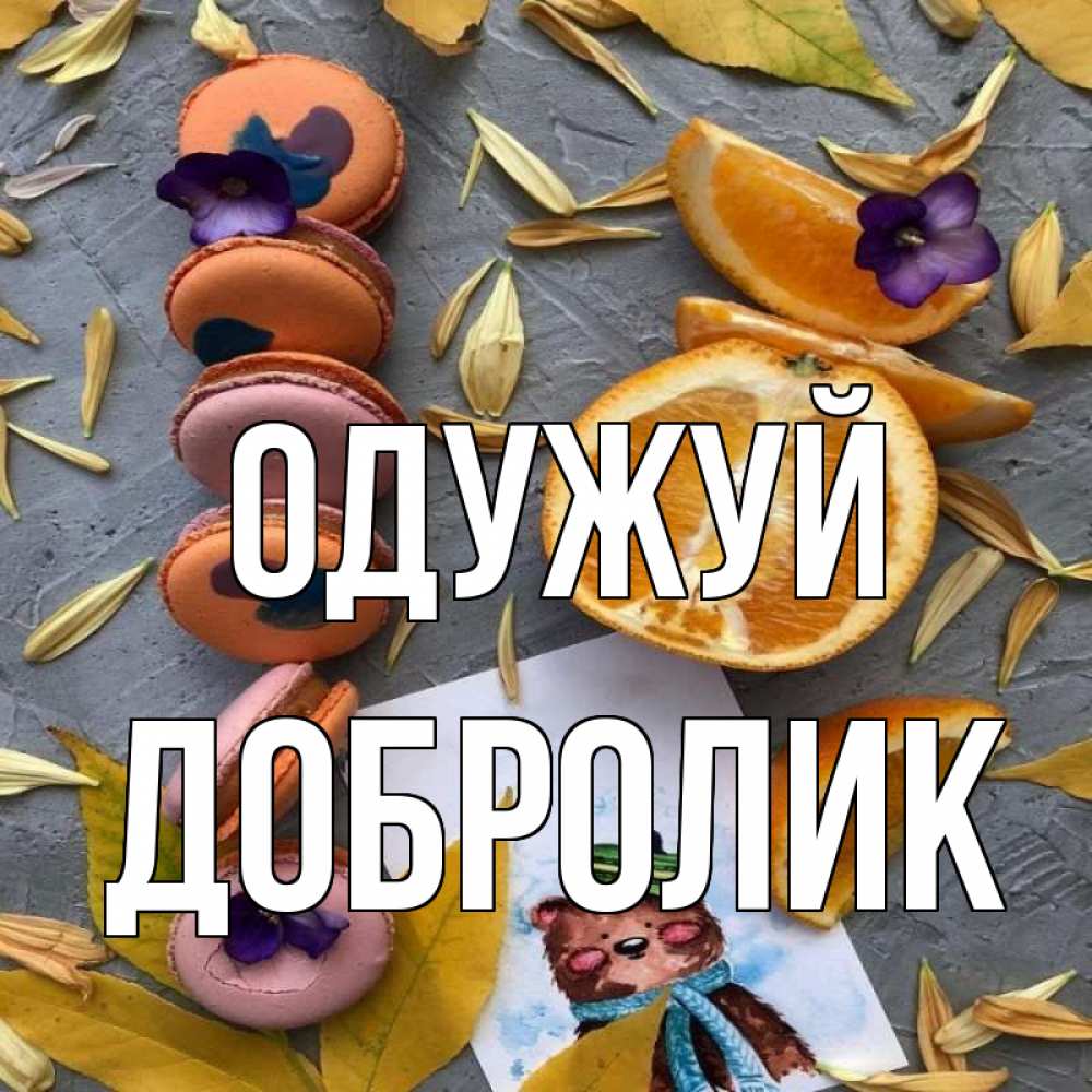 Открытка на каждый день з підписом, Добролик Одужуй не болейте Прикольна листівка з побажанням онлайн скачати безкоштовно 