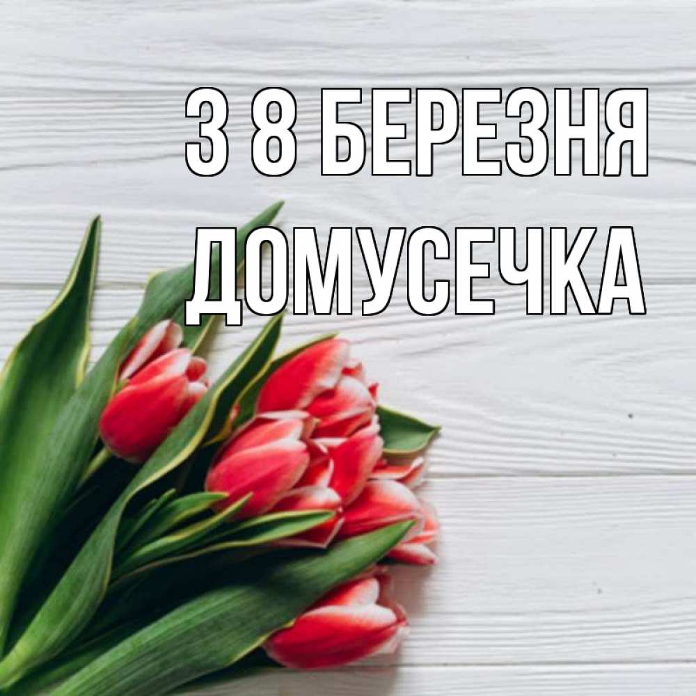 Открытка на каждый день з підписом, Домусечка З 8 БЕРЕЗНЯ весна 2 Прикольна листівка з побажанням онлайн скачати безкоштовно 