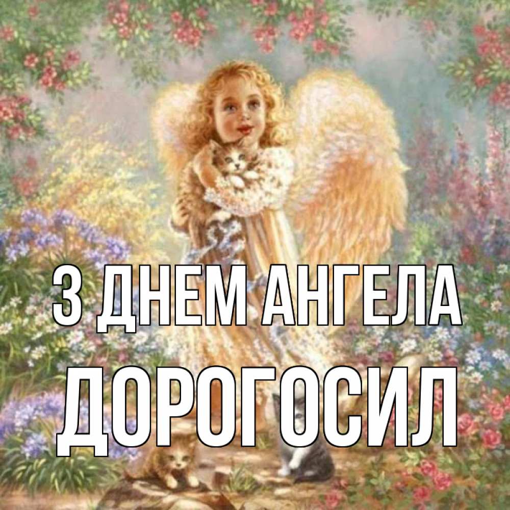 Открытка на каждый день з підписом, Дорогосил З Днем ангела держит котенка Прикольна листівка з побажанням онлайн скачати безкоштовно 