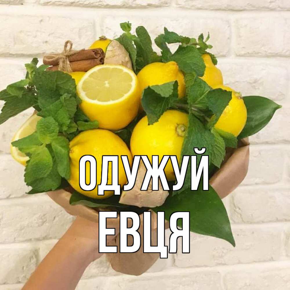 Открытка на каждый день з підписом, Евця Одужуй витамины Прикольна листівка з побажанням онлайн скачати безкоштовно 