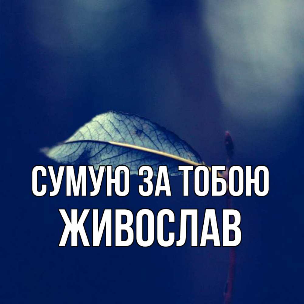 Открытка на каждый день з підписом, Живослав Сумую за тобою одна ветка 1 Прикольна листівка з побажанням онлайн скачати безкоштовно 