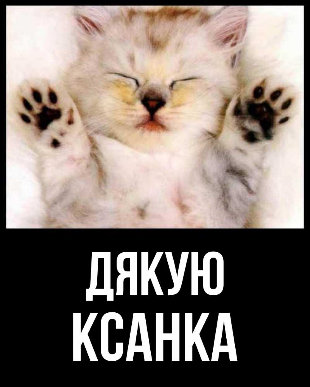 Открытка на каждый день з підписом, Ксанка Дякую маленький котенок Прикольна листівка з побажанням онлайн скачати безкоштовно 