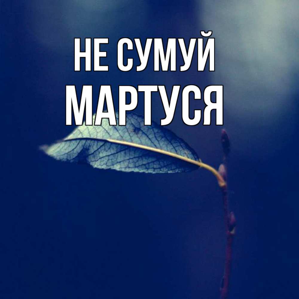 Открытка на каждый день з підписом, Мартуся Не сумуй растение Прикольна листівка з побажанням онлайн скачати безкоштовно 