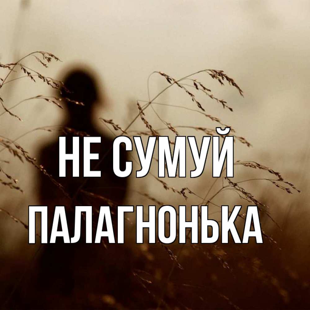 Открытка на каждый день з підписом, Палагнонька Не сумуй грусть Прикольна листівка з побажанням онлайн скачати безкоштовно 