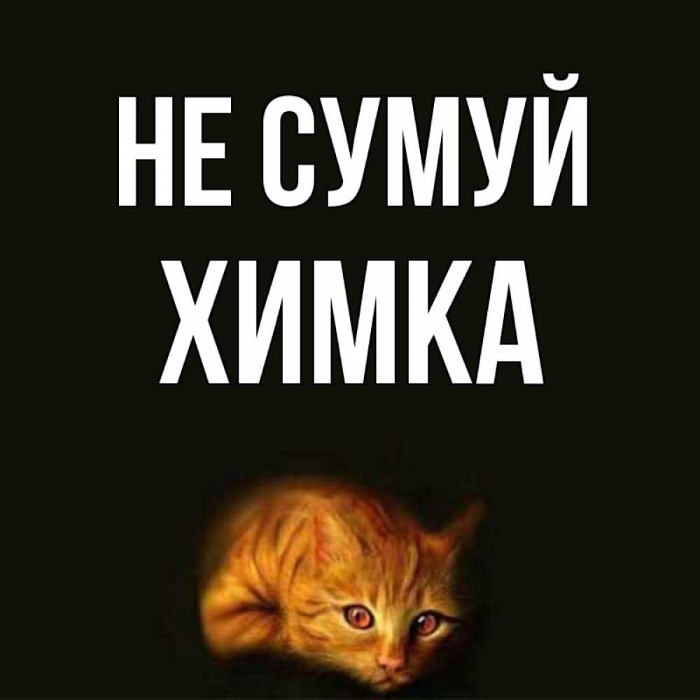 Открытка на каждый день з підписом, Химка Не сумуй лежащий кот в темноте Прикольна листівка з побажанням онлайн скачати безкоштовно 