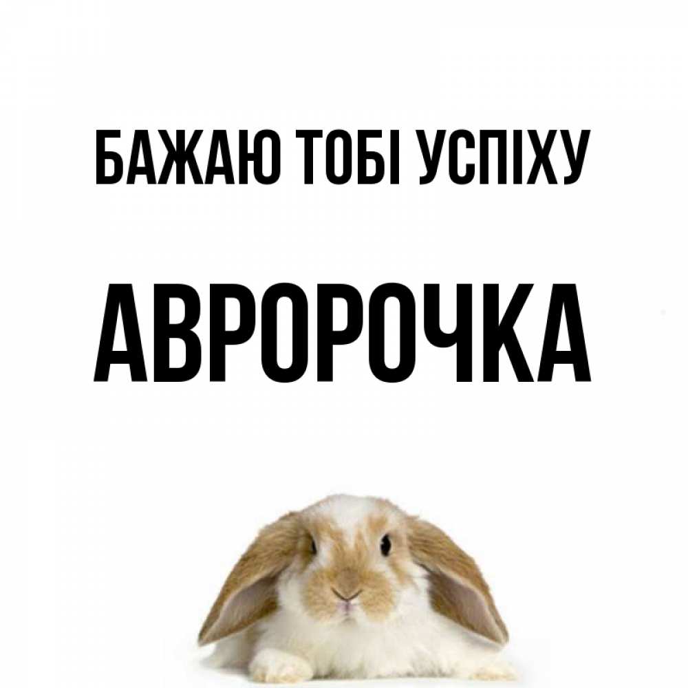 Открытка на каждый день з підписом, Авророчка Бажаю тобі успіху открытки с произвольным текстом который можно вставить в открытку и создать ее самостоятельно бесплатно онлайн Прикольна листівка з побажанням онлайн скачати безкоштовно 