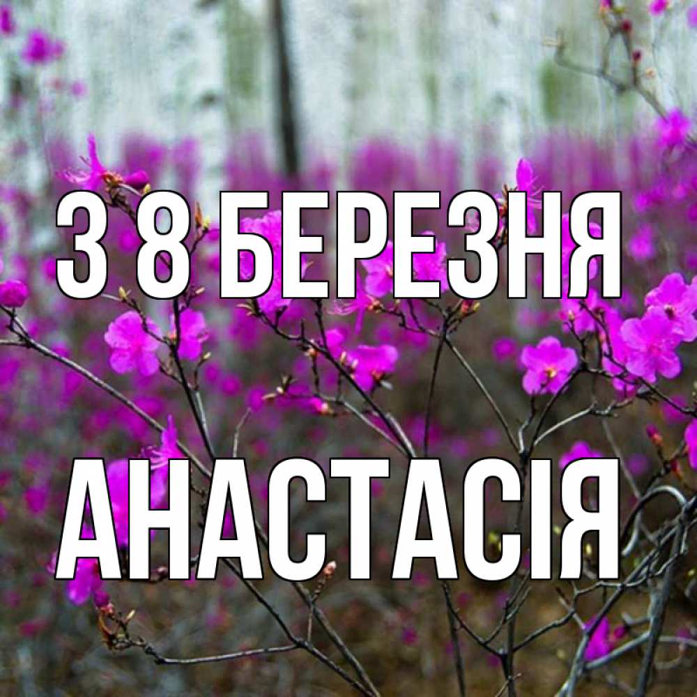 Открытка на каждый день з підписом, Анастасія З 8 БЕРЕЗНЯ дикие цветы Прикольна листівка з побажанням онлайн скачати безкоштовно 