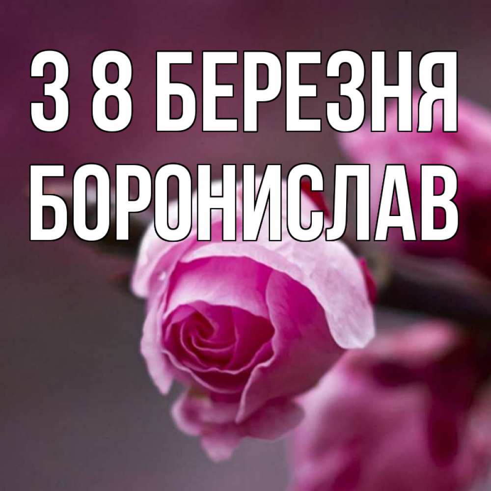 Открытка на каждый день з підписом, Боронислав З 8 БЕРЕЗНЯ весна Прикольна листівка з побажанням онлайн скачати безкоштовно 