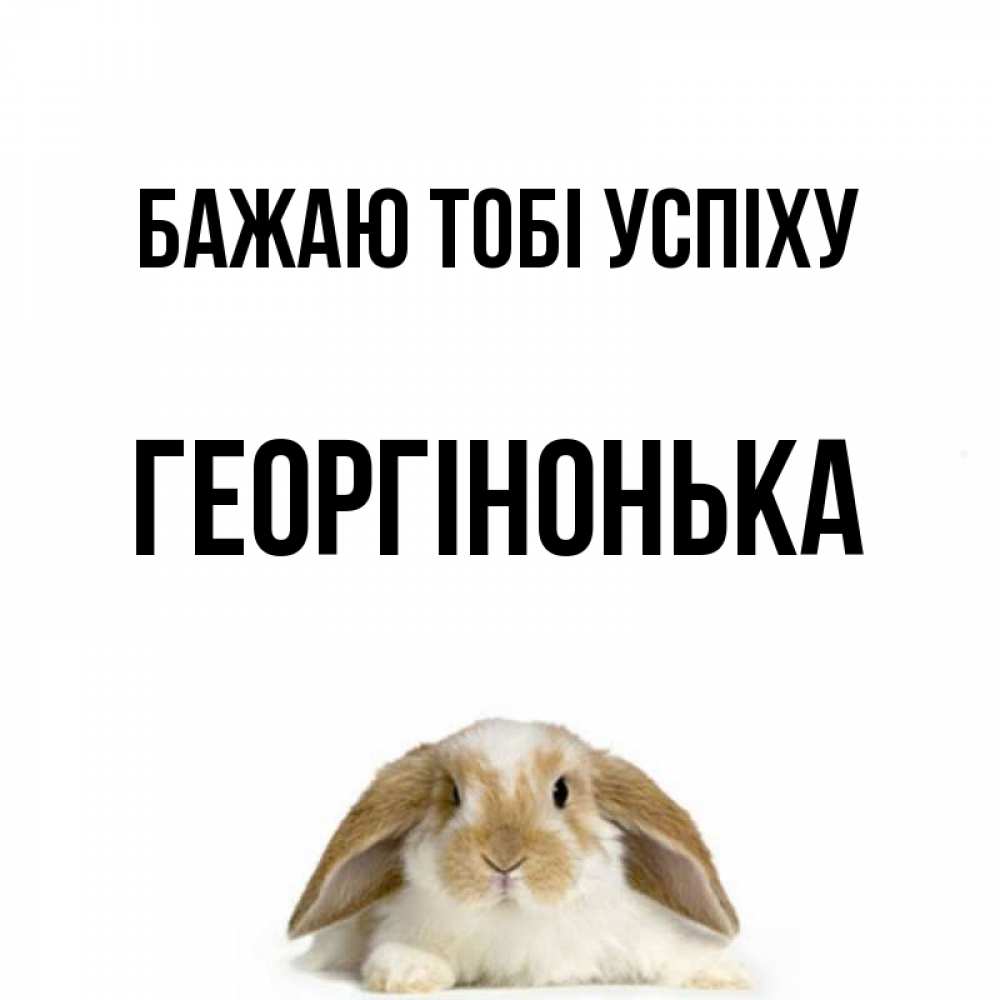 Открытка на каждый день з підписом, Георгінонька Бажаю тобі успіху открытки с произвольным текстом который можно вставить в открытку и создать ее самостоятельно бесплатно онлайн Прикольна листівка з побажанням онлайн скачати безкоштовно 
