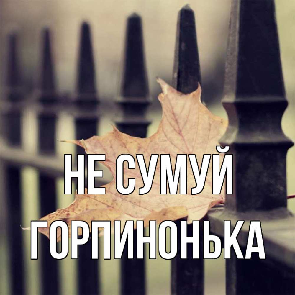 Открытка на каждый день з підписом, Горпинонька Не сумуй лист клена Прикольна листівка з побажанням онлайн скачати безкоштовно 