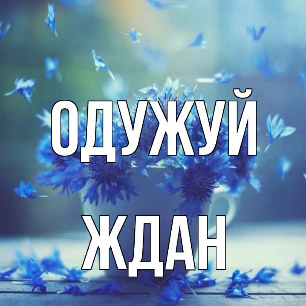 Открытка на каждый день з підписом, Ждан Одужуй кружка с зельем и цветами Прикольна листівка з побажанням онлайн скачати безкоштовно 