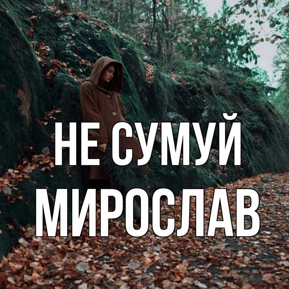 Открытка на каждый день з підписом, Мирослав Не сумуй осенний лес Прикольна листівка з побажанням онлайн скачати безкоштовно 