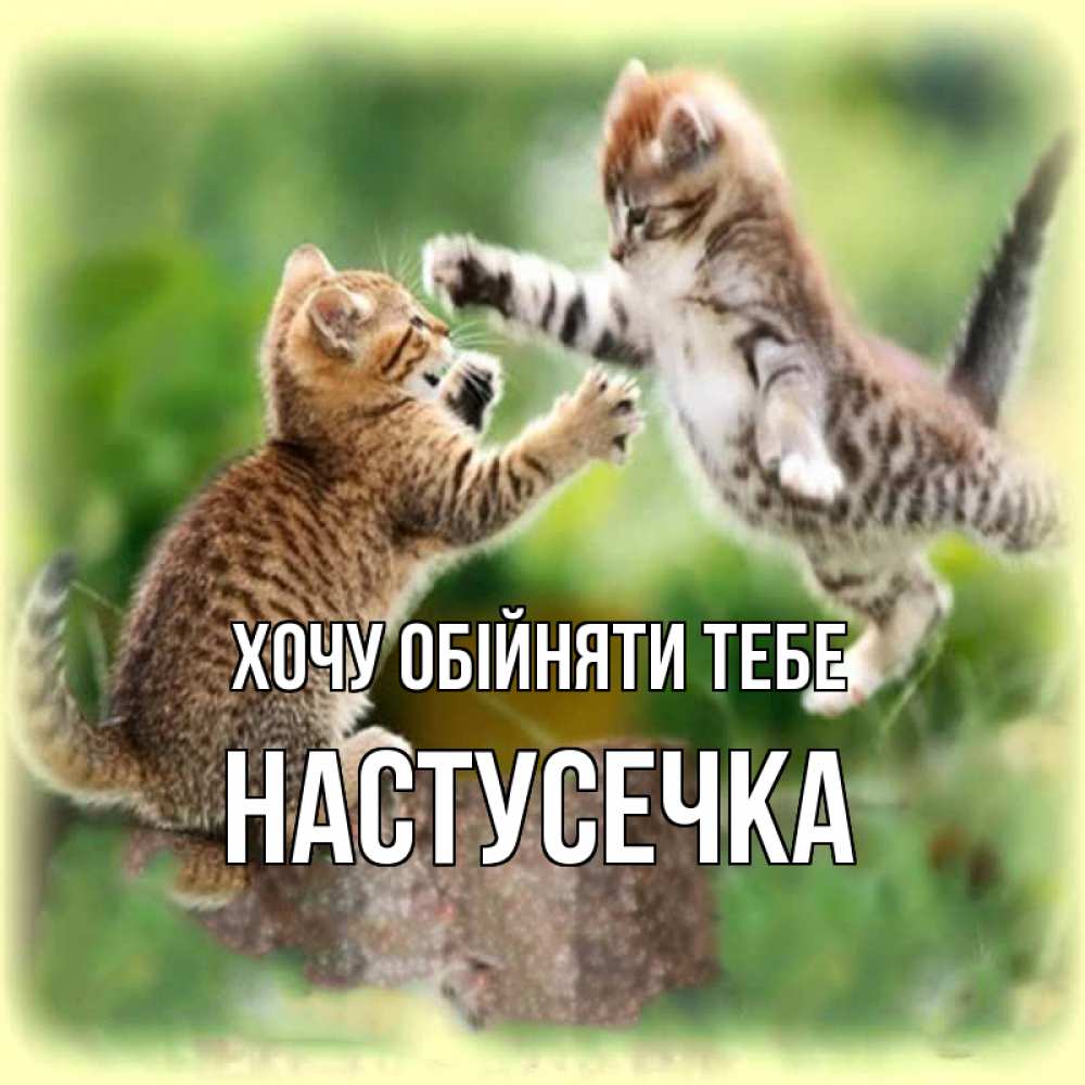 Открытка на каждый день з підписом, Настусечка Хочу обійняти тебе игры котят Прикольна листівка з побажанням онлайн скачати безкоштовно 