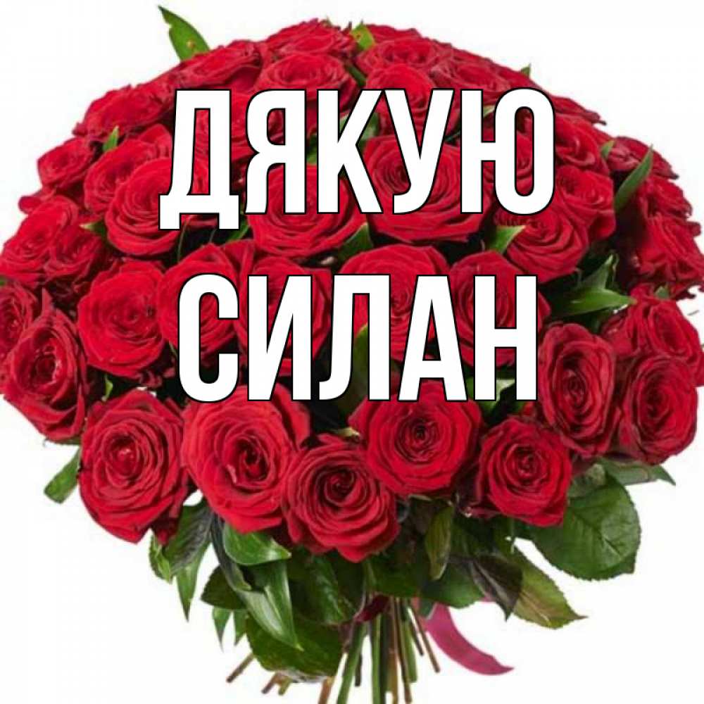 Открытка на каждый день з підписом, Силан Дякую букет красных роз Прикольна листівка з побажанням онлайн скачати безкоштовно 