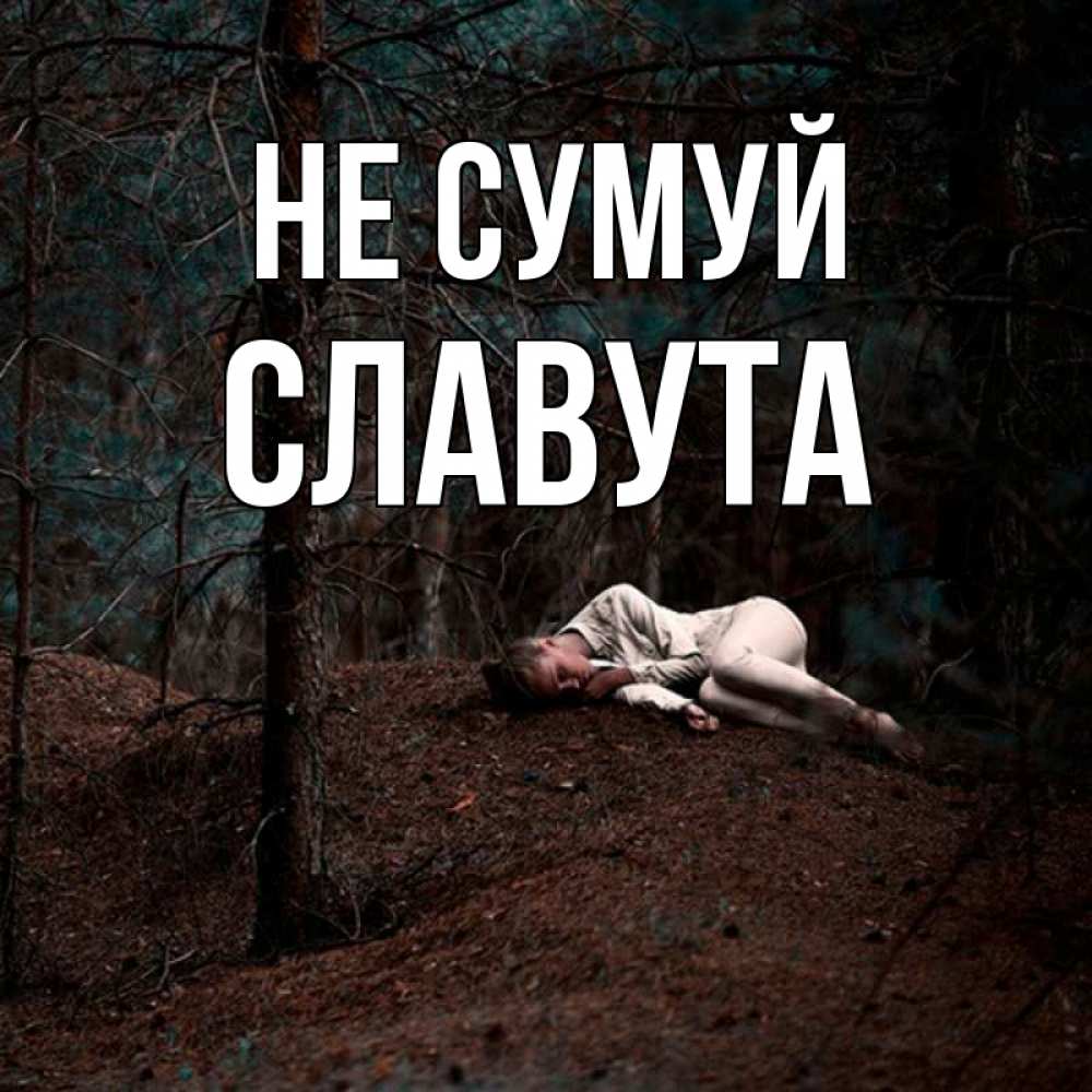 Открытка на каждый день з підписом, Славута Не сумуй лес Прикольна листівка з побажанням онлайн скачати безкоштовно 