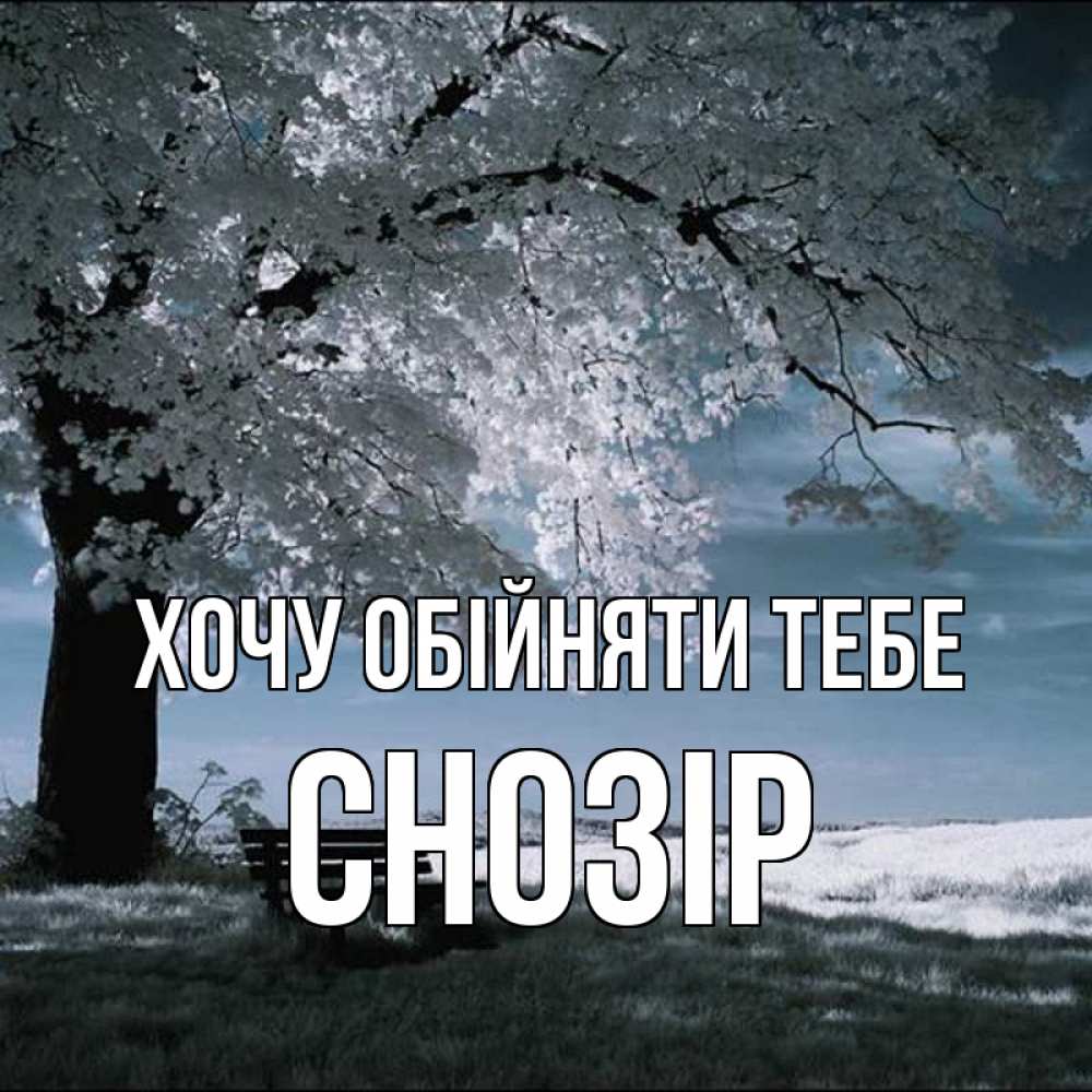 Открытка на каждый день з підписом, Снозір Хочу обійняти тебе дерево Прикольна листівка з побажанням онлайн скачати безкоштовно 