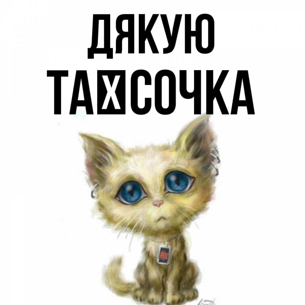 Открытка на каждый день з підписом, Таїсочка Дякую рисованный кот благодарит вас Прикольна листівка з побажанням онлайн скачати безкоштовно 