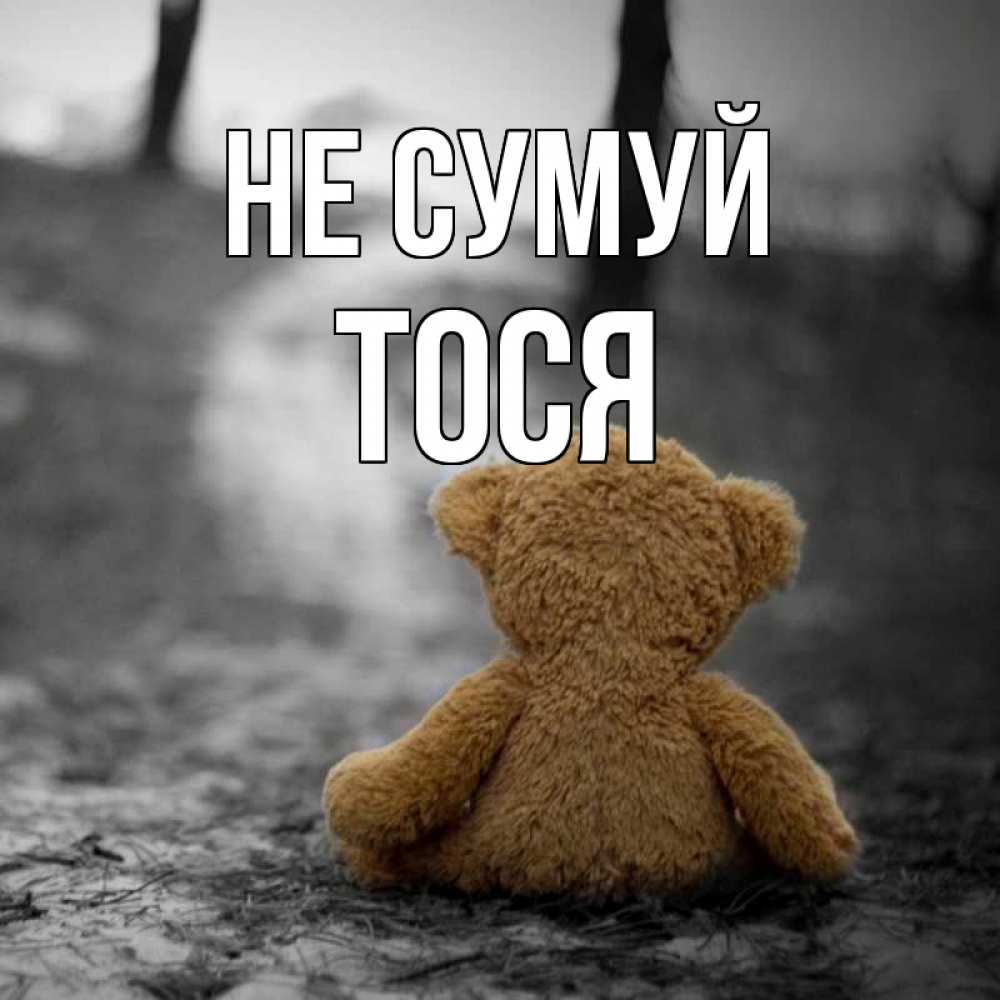 Открытка на каждый день з підписом, Тося Не сумуй медведь со спин Прикольна листівка з побажанням онлайн скачати безкоштовно 
