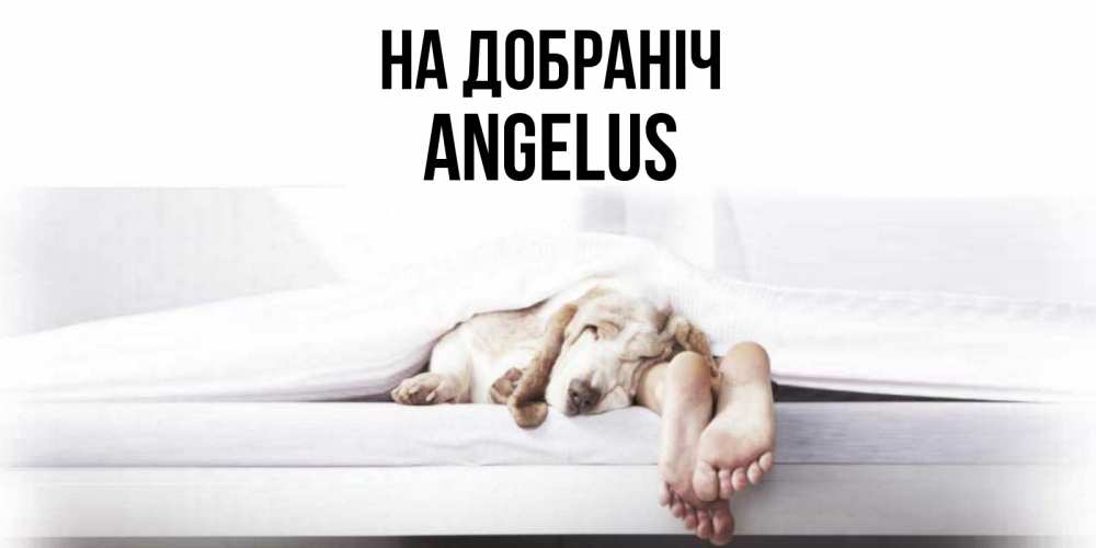 Открытка на каждый день з підписом, Angelus На добраніч кровать с собакой пожелание сладких снов и спокойной ночи Прикольна листівка з побажанням онлайн скачати безкоштовно 