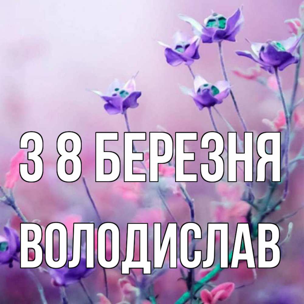 Открытка на каждый день з підписом, Володислав З 8 БЕРЕЗНЯ международный женский день 2 Прикольна листівка з побажанням онлайн скачати безкоштовно 