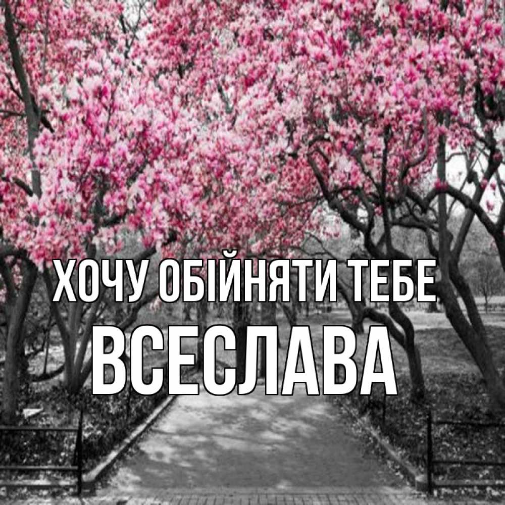 Открытка на каждый день з підписом, Всеслава Хочу обійняти тебе обработанное фото Прикольна листівка з побажанням онлайн скачати безкоштовно 