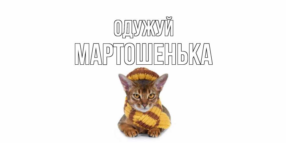 Открытка на каждый день з підписом, Мартошенька Одужуй родные не болейте Прикольна листівка з побажанням онлайн скачати безкоштовно 