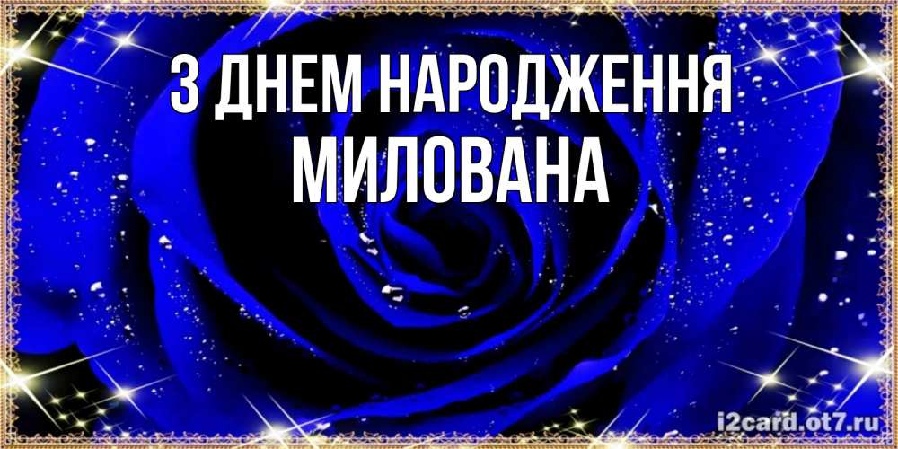 Открытка на каждый день з підписом, Милована З Днем народження голубые цветы в росе Прикольна листівка з побажанням онлайн скачати безкоштовно 