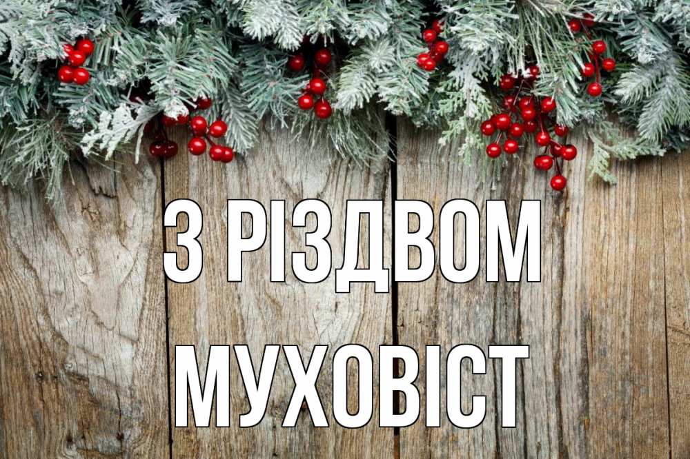 Открытка на каждый день з підписом, Муховіст З Різдвом с рождеством Прикольна листівка з побажанням онлайн скачати безкоштовно 