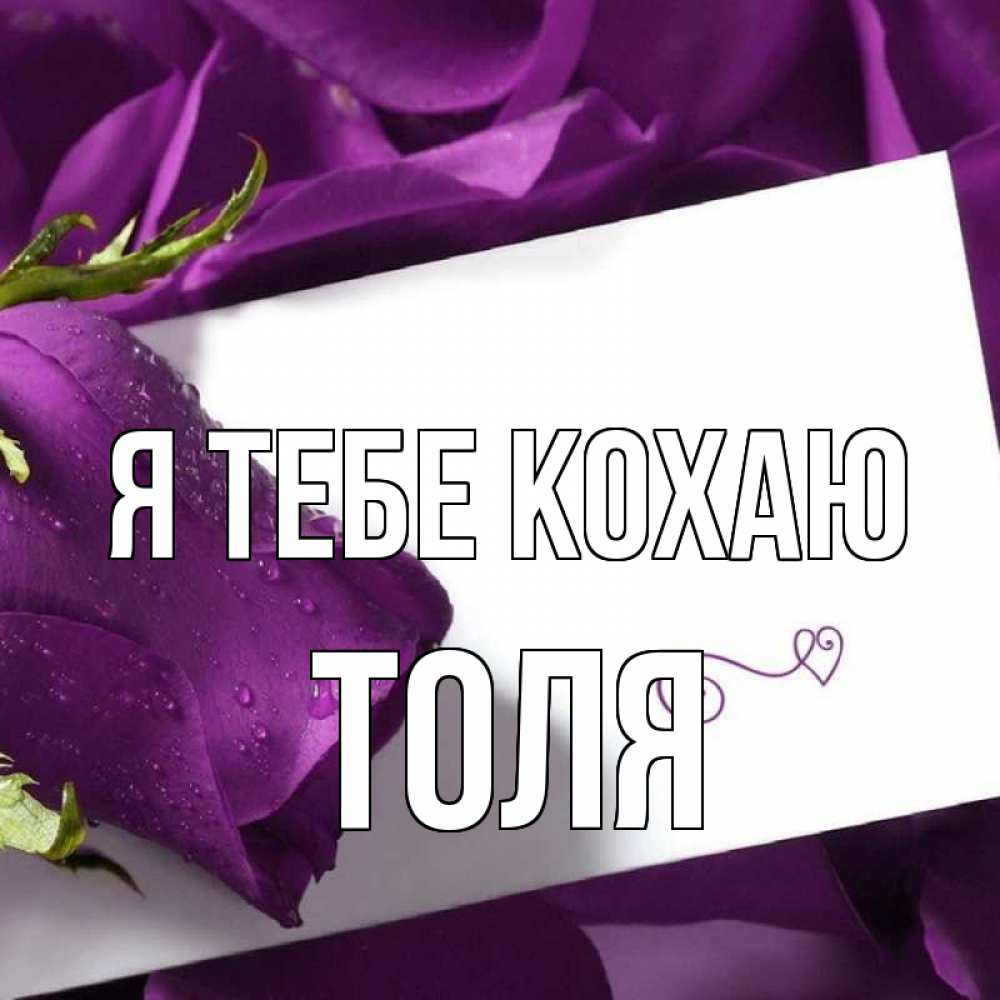 Открытка на каждый день з підписом, Толя Я тебе кохаю роза Прикольна листівка з побажанням онлайн скачати безкоштовно 