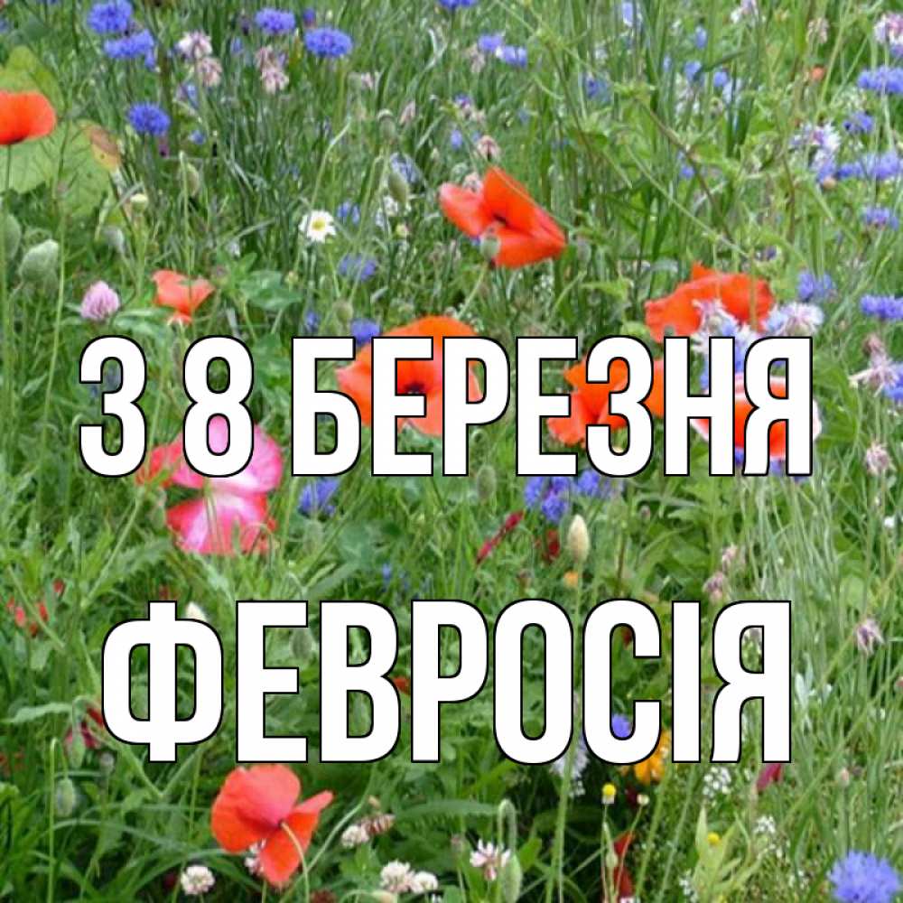Открытка на каждый день з підписом, Февросія З 8 БЕРЕЗНЯ международный женский день 4 Прикольна листівка з побажанням онлайн скачати безкоштовно 