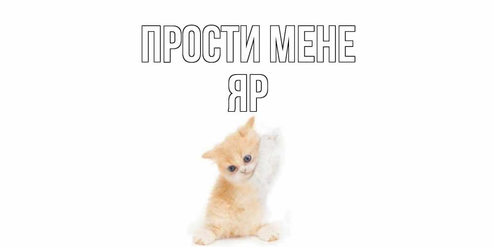 Открытка на каждый день з підписом, Яр Прости мене кот Прикольна листівка з побажанням онлайн скачати безкоштовно 