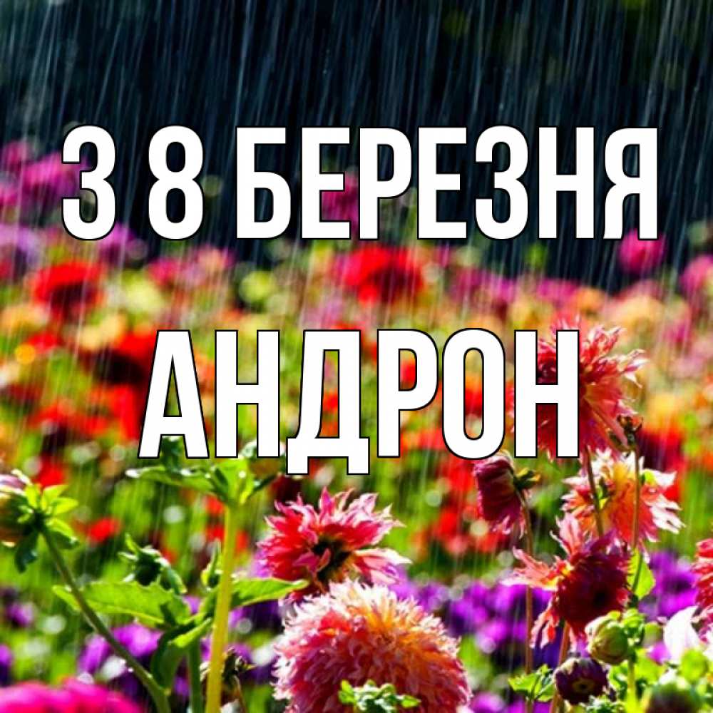 Открытка на каждый день з підписом, Андрон З 8 БЕРЕЗНЯ цветы под дождиком к международному женскому дню Прикольна листівка з побажанням онлайн скачати безкоштовно 