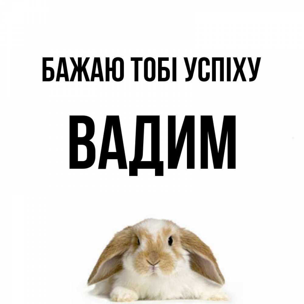 Открытка на каждый день з підписом, Вадим Бажаю тобі успіху открытки с произвольным текстом который можно вставить в открытку и создать ее самостоятельно бесплатно онлайн Прикольна листівка з побажанням онлайн скачати безкоштовно 