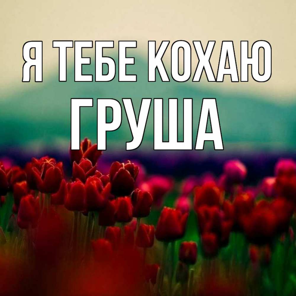 Открытка на каждый день з підписом, Груша Я тебе кохаю тюльпаны 4 Прикольна листівка з побажанням онлайн скачати безкоштовно 