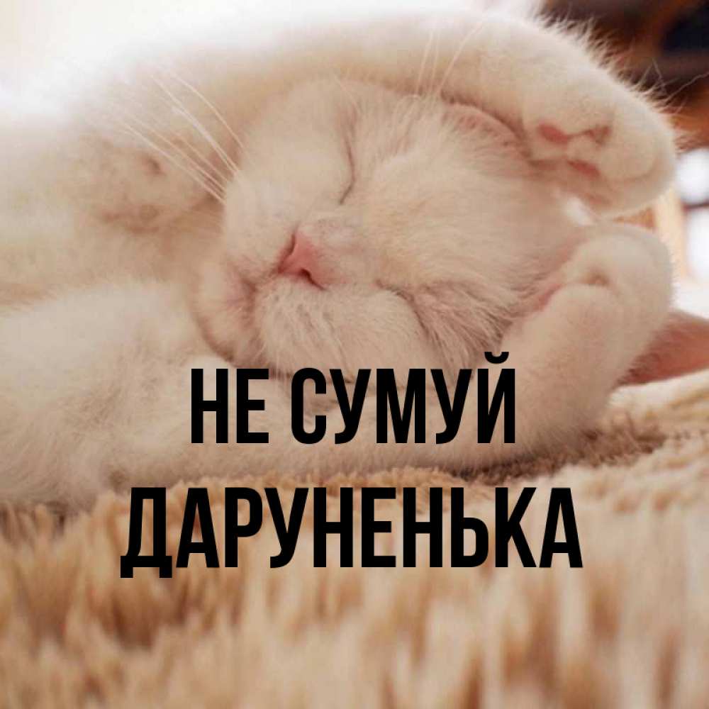 Открытка на каждый день з підписом, Даруненька Не сумуй Котенок спит Прикольна листівка з побажанням онлайн скачати безкоштовно 