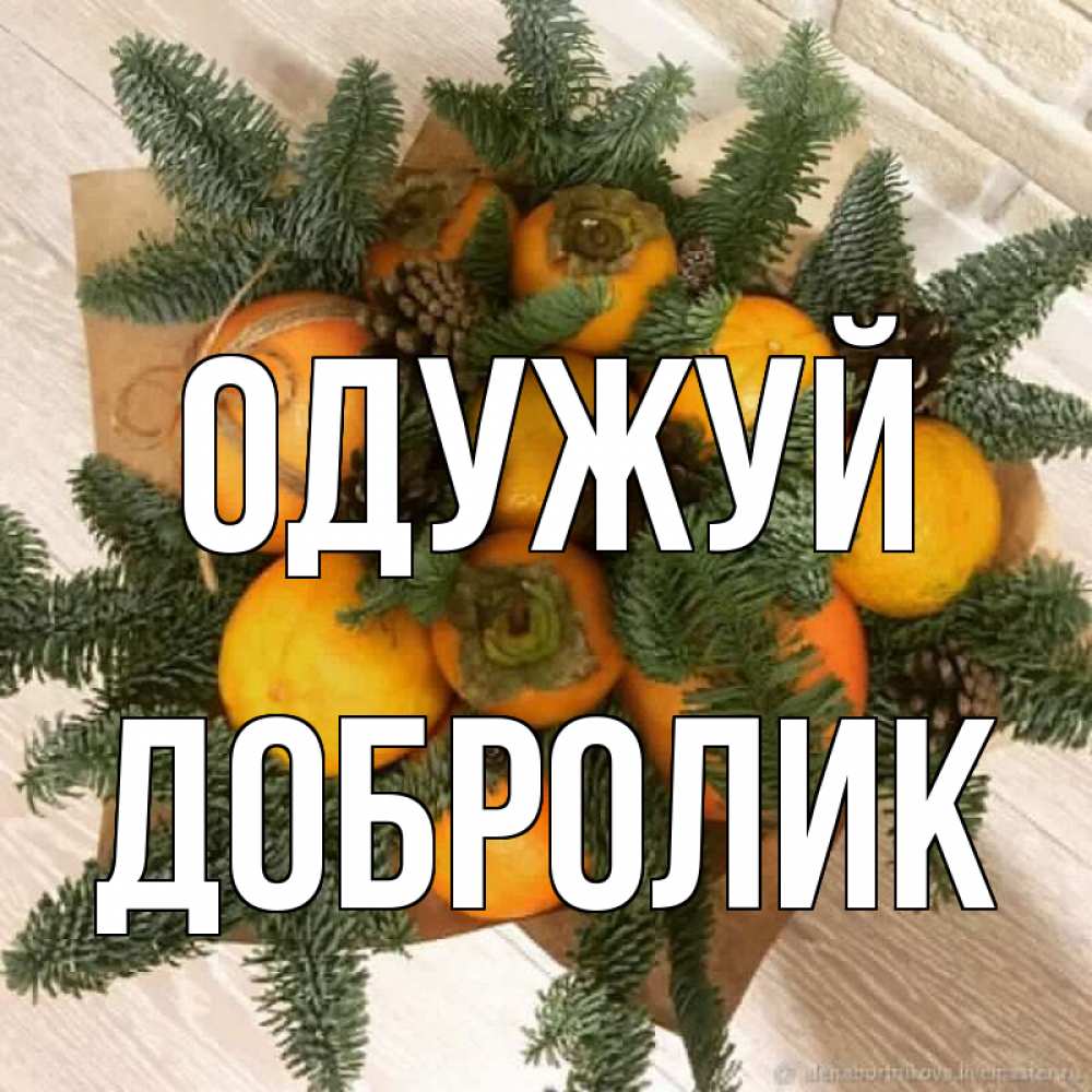 Открытка на каждый день з підписом, Добролик Одужуй апельсины и хурьма Прикольна листівка з побажанням онлайн скачати безкоштовно 