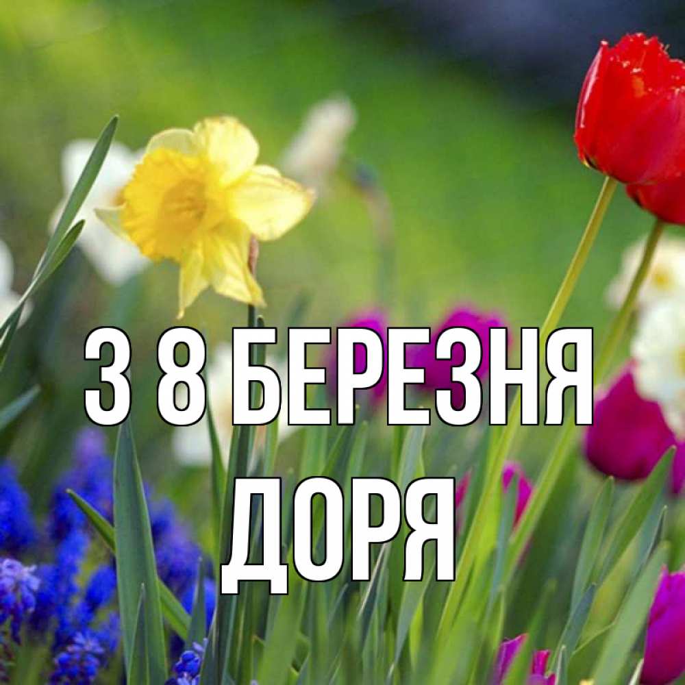 Открытка на каждый день з підписом, Доря З 8 БЕРЕЗНЯ международный женский день 3 Прикольна листівка з побажанням онлайн скачати безкоштовно 