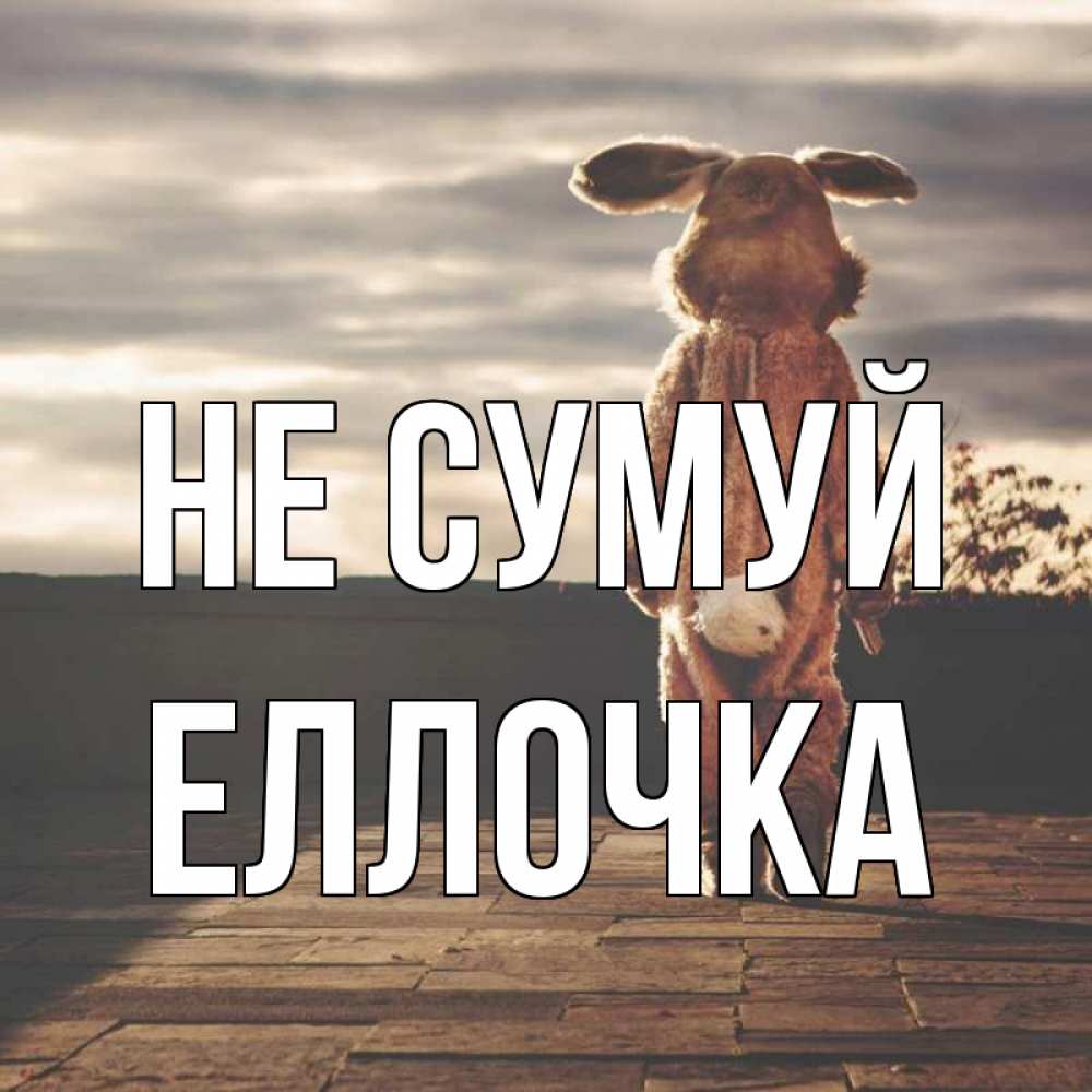Открытка на каждый день з підписом, Еллочка Не сумуй со спины Прикольна листівка з побажанням онлайн скачати безкоштовно 