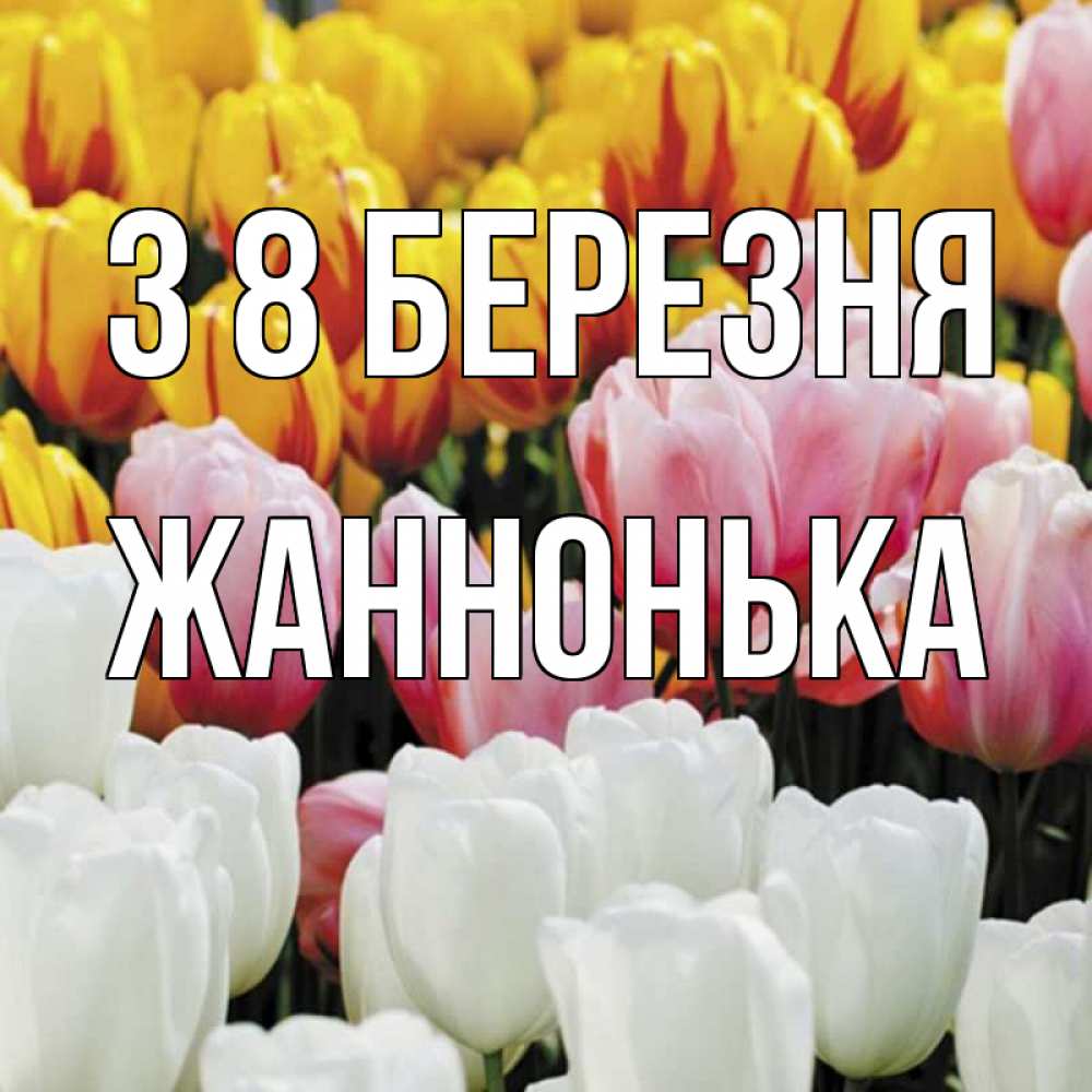 Открытка на каждый день з підписом, Жаннонька З 8 БЕРЕЗНЯ разноцветные цветы Прикольна листівка з побажанням онлайн скачати безкоштовно 