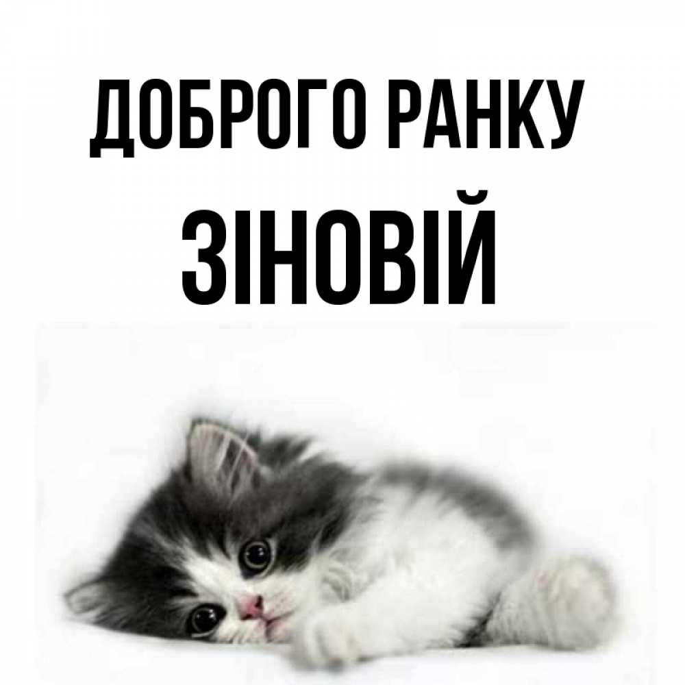 Открытка на каждый день з підписом, Зіновій Доброго ранку кот лапки Прикольна листівка з побажанням онлайн скачати безкоштовно 