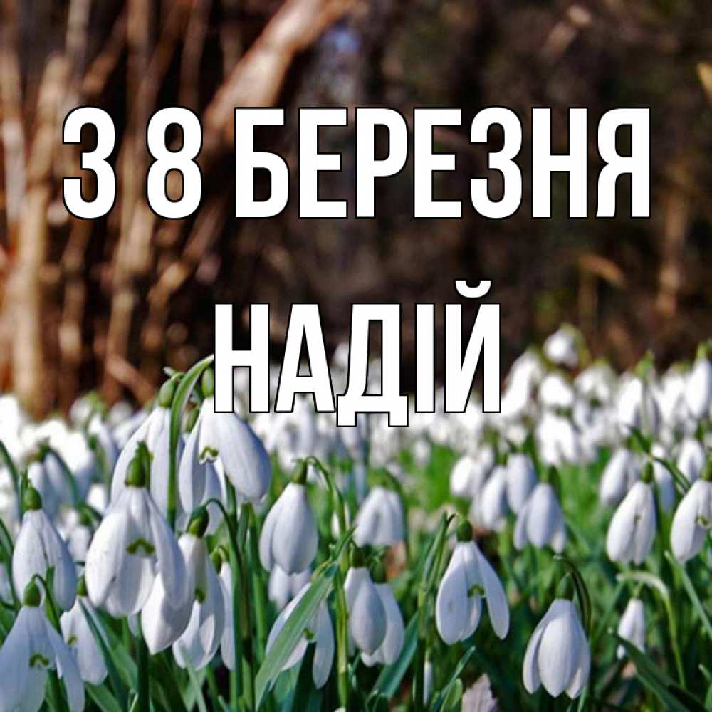 Открытка на каждый день з підписом, Надій З 8 БЕРЕЗНЯ с подснежниками 1 Прикольна листівка з побажанням онлайн скачати безкоштовно 