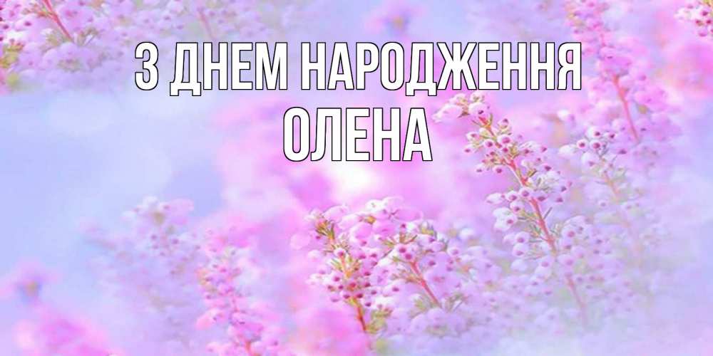 Открытка на каждый день з підписом, Олена З Днем народження красивая открытка с мелкими цветами Прикольна листівка з побажанням онлайн скачати безкоштовно 