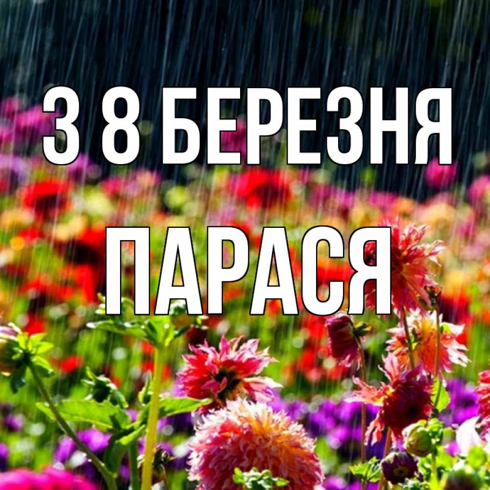 Открытка на каждый день з підписом, Парася З 8 БЕРЕЗНЯ цветы под дождиком к международному женскому дню Прикольна листівка з побажанням онлайн скачати безкоштовно 