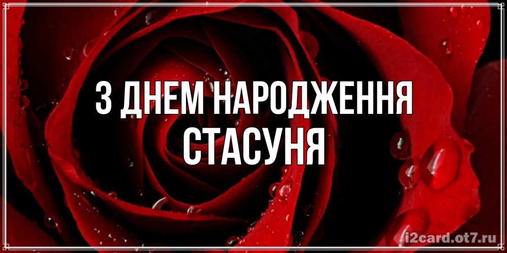 Открытка на каждый день з підписом, Стасуня З Днем народження крупная бордовая роза Прикольна листівка з побажанням онлайн скачати безкоштовно 
