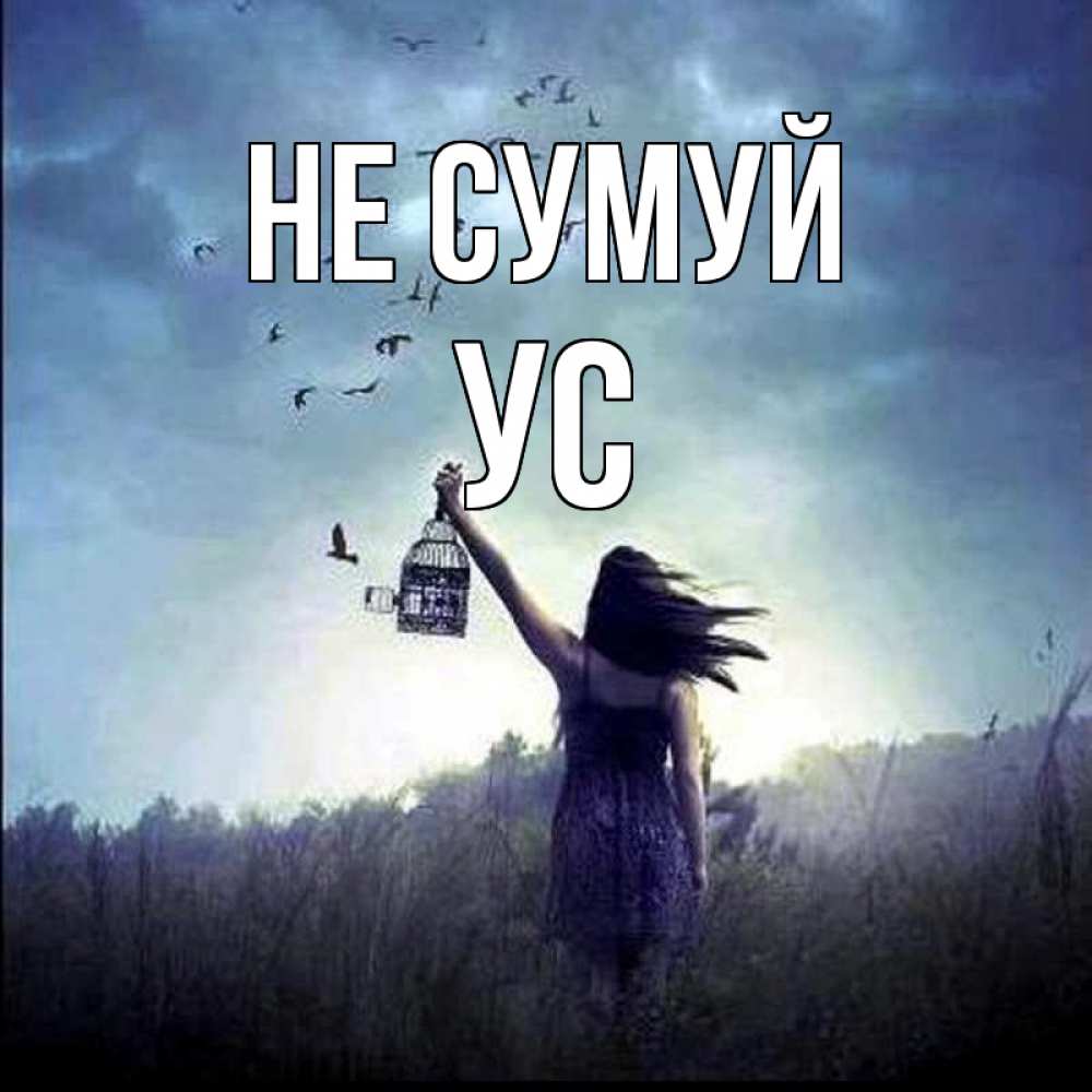 Открытка на каждый день з підписом, Ус Не сумуй на волю Прикольна листівка з побажанням онлайн скачати безкоштовно 