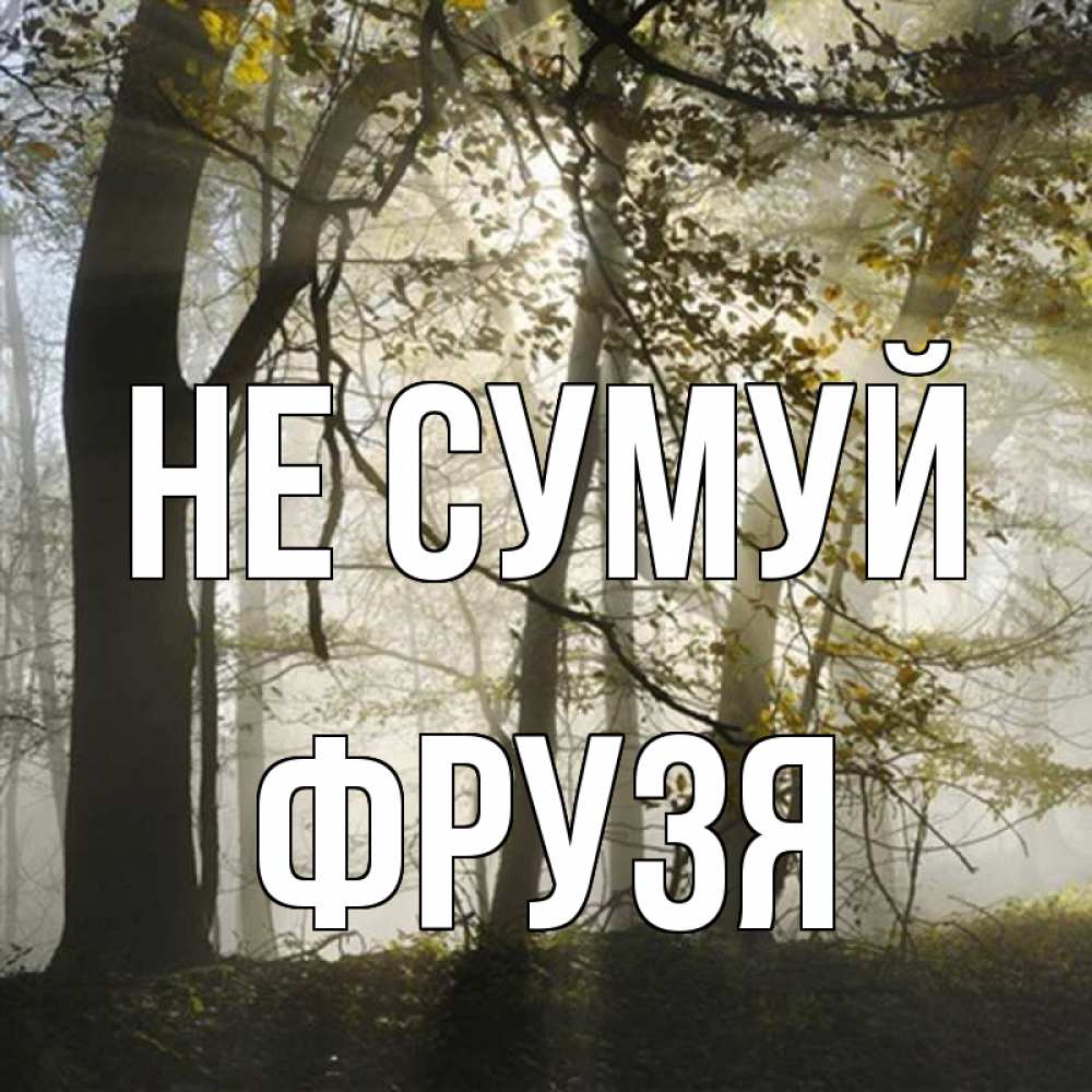 Открытка на каждый день з підписом, Фрузя Не сумуй лес и свет Прикольна листівка з побажанням онлайн скачати безкоштовно 