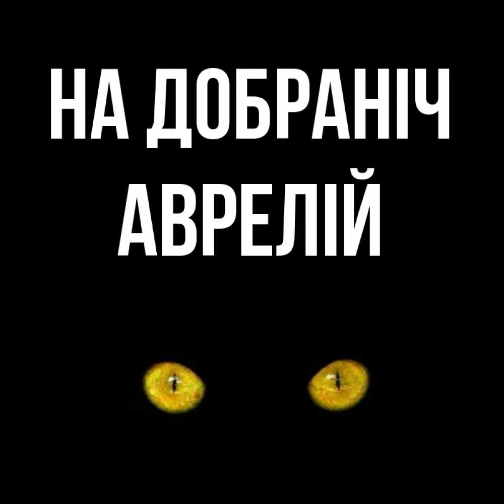 Открытка на каждый день з підписом, Аврелій На добраніч сладких снов бесстрашный мой дружочек Прикольна листівка з побажанням онлайн скачати безкоштовно 