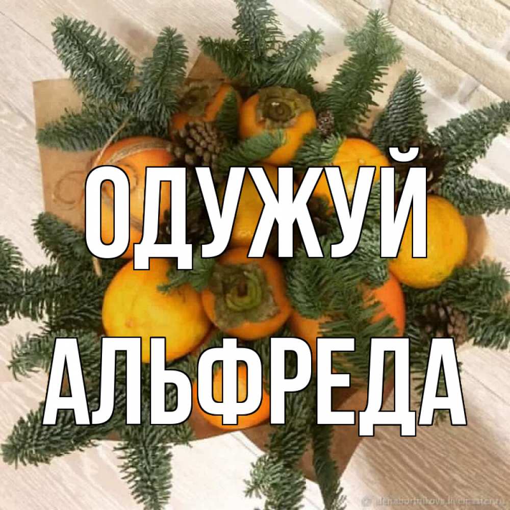Открытка на каждый день з підписом, Альфреда Одужуй апельсины и хурьма Прикольна листівка з побажанням онлайн скачати безкоштовно 