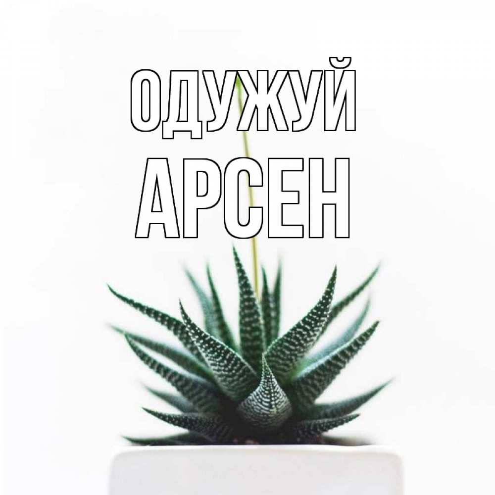 Открытка на каждый день з підписом, Арсен Одужуй короче это непонятная колючка Прикольна листівка з побажанням онлайн скачати безкоштовно 